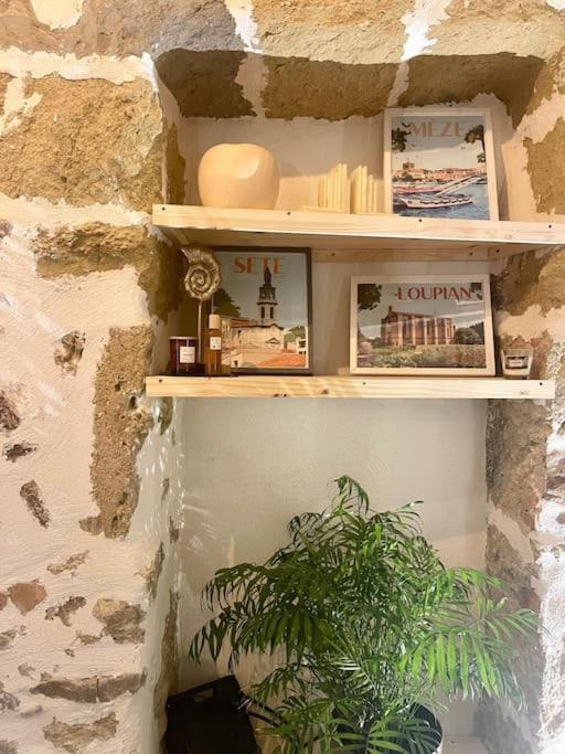 Apartament Eden De Thau 1Ere Ligne Bouzigues Zewnętrze zdjęcie
